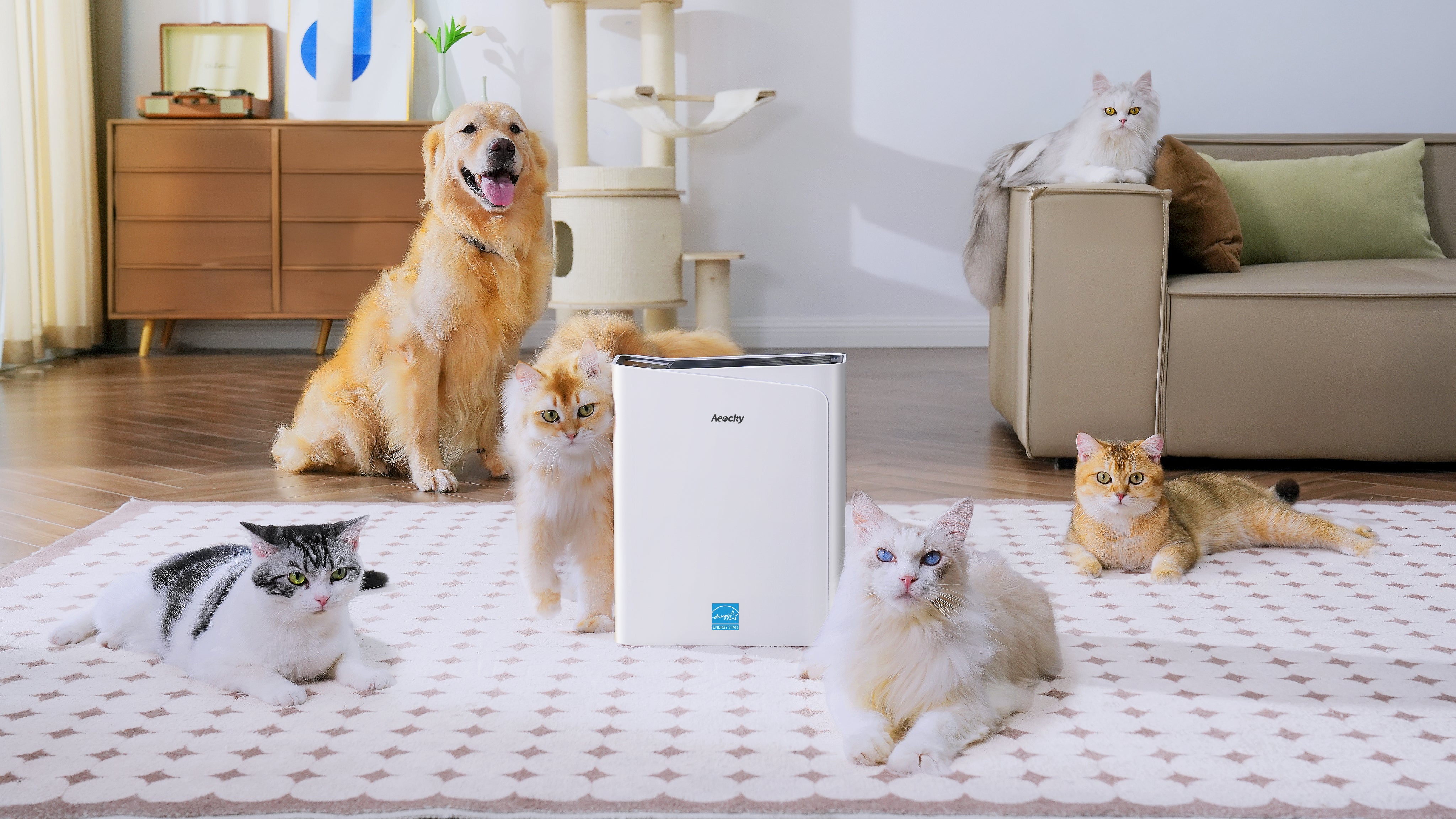 Breathe Freely, Live Better – Introducing the Cybertron Air Purifier