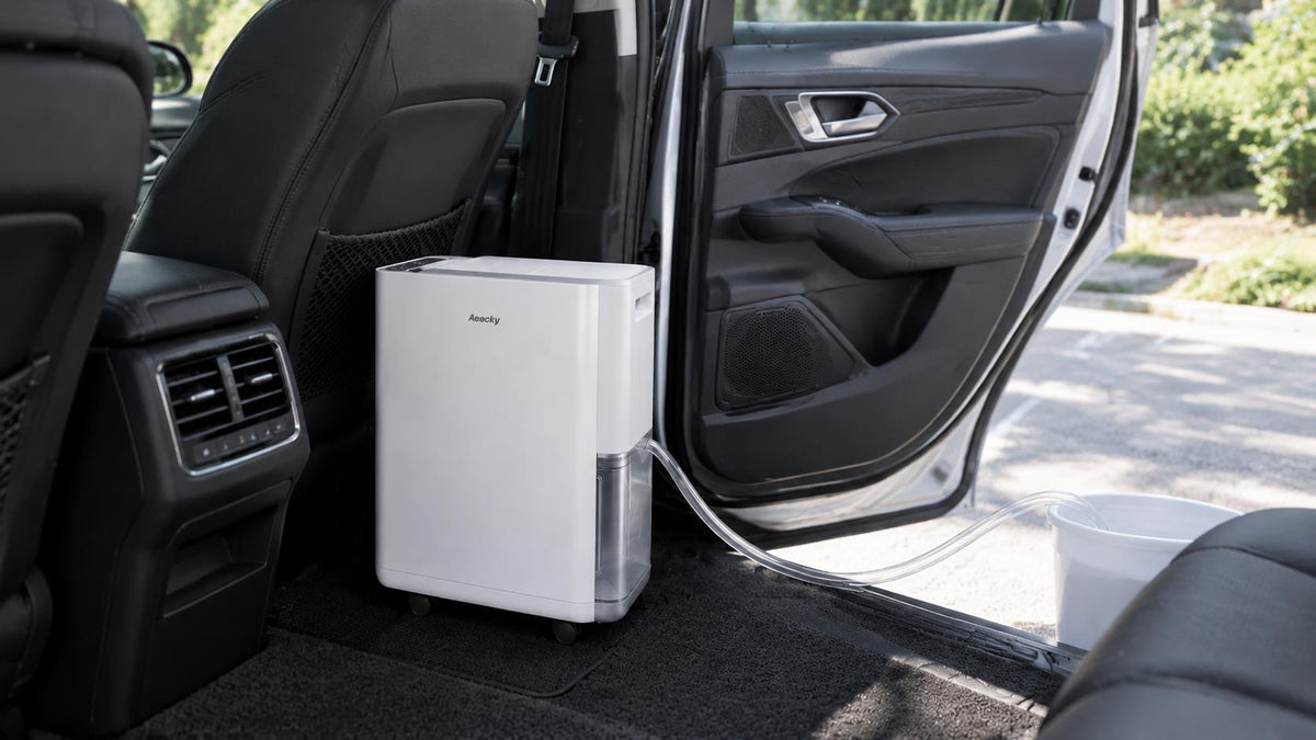 Best Dehumidifier for Cars: How to Prevent Moisture, Foggy Windows & Musty Odors