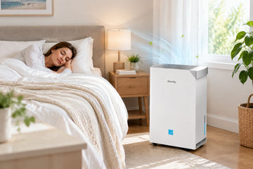 Can a Dehumidifier Help with Allergies and Dust Mites?