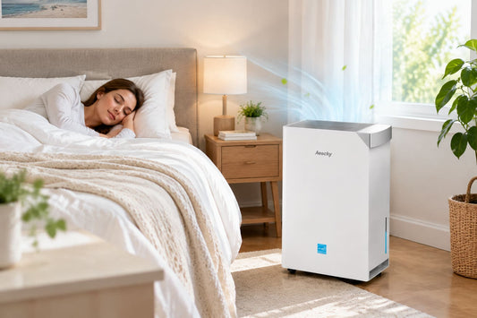 Can a Dehumidifier Help with Allergies and Dust Mites?