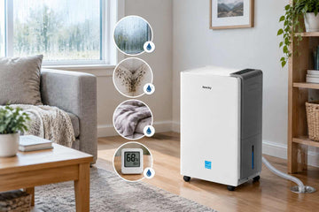 How to Tell If Your House Needs a Dehumidifier: Signs of High Humidity