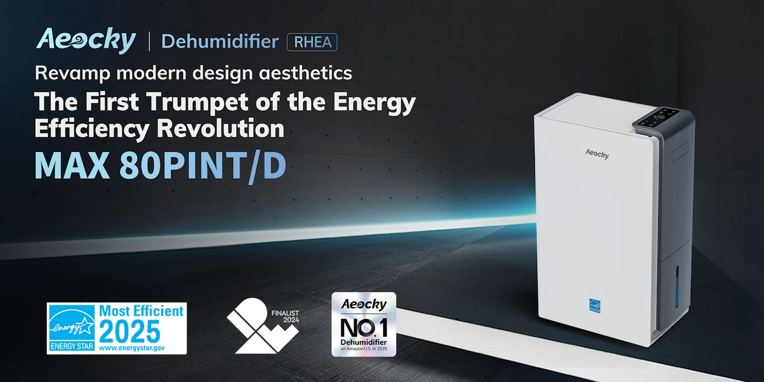 Creating Your Ideal Home Environment - A Guide to Smart Dehumidification