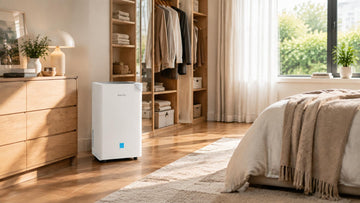 What Is the Ideal Indoor Humidity Level? A Complete Guide for Your Home