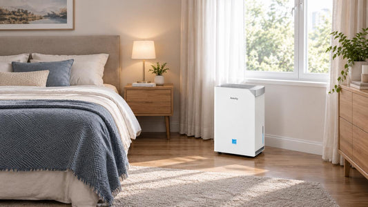 Where Is the Best Place to Put a Dehumidifier? Placement Tips