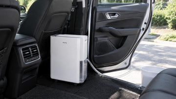 Best Dehumidifier for Cars: How to Prevent Moisture, Foggy Windows & Musty Odors