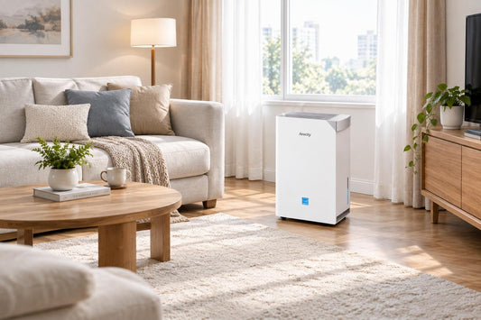 How to Use a Dehumidifier: Settings, Placement, and Maintenance Tips