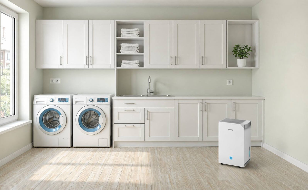 How to Find an Energy-Efficient Dehumidifier: Complete Guide