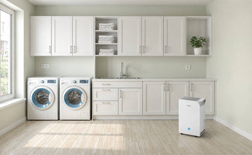 How to Find an Energy-Efficient Dehumidifier: Complete Guide