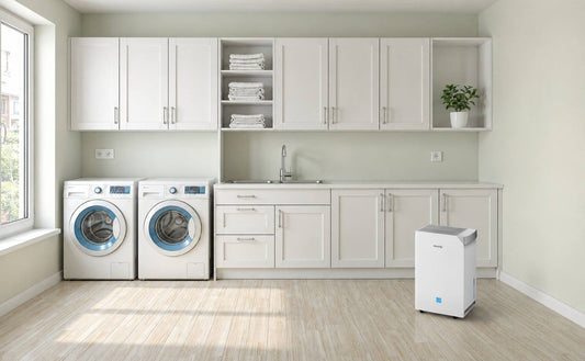 How to Find an Energy-Efficient Dehumidifier: Complete Guide