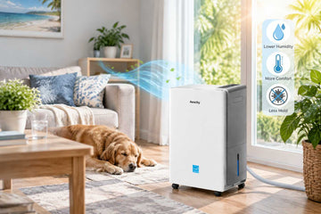 Should I Use a Dehumidifier in the Summer?