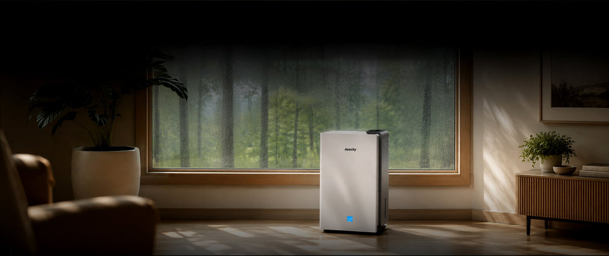 Rhea distributing dry air through a large room