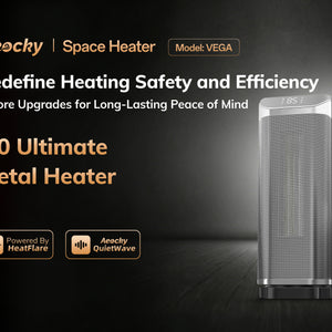 AEOCKY Space Heater Model Vega