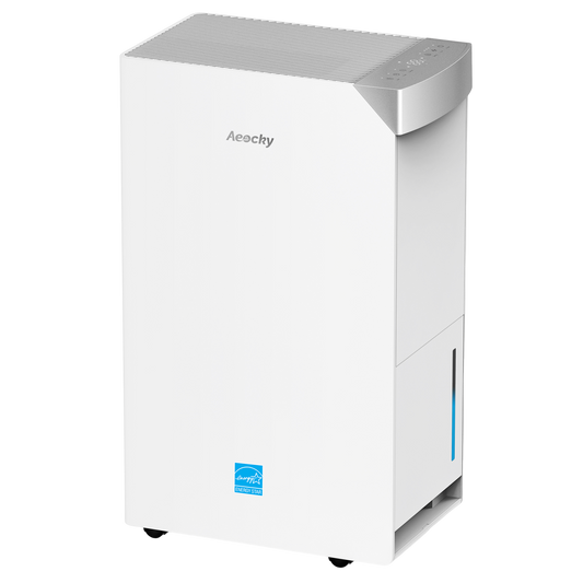 Dehumidifier Model Leo