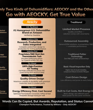 AEOCKY Small Dehumidifier Model VivaSilent, Max 64oz