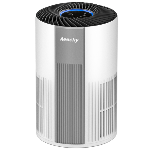 Air Purifier Model Pandora
